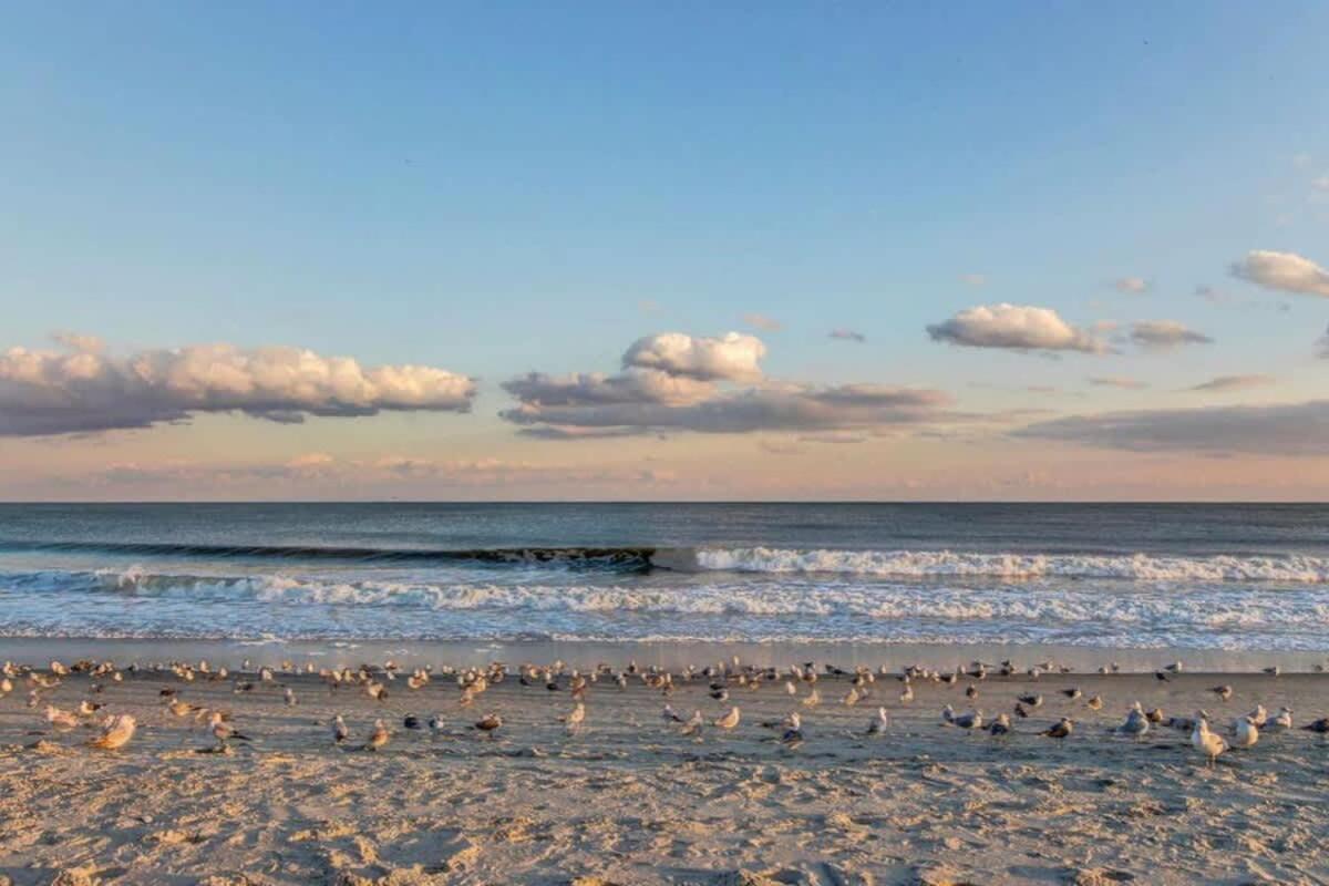 *Oceanfront Sun & Fun*Queen Beds*Pools*Hot Tubs*More*B118 Myrtle Beach Ngoại thất bức ảnh